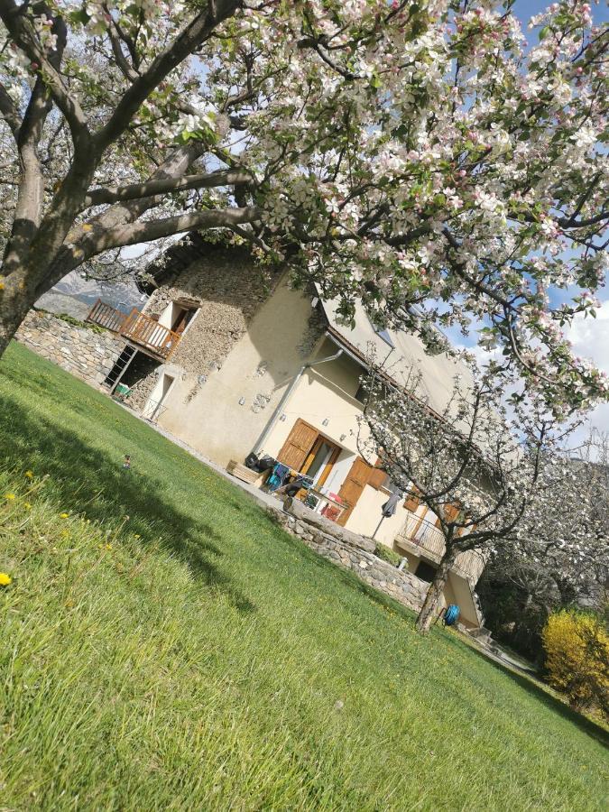 Chambres D'Hotes Les Peschiers Chateauroux-les-Alpes Exteriör bild